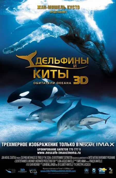 Дельфины и киты 3D Постер
