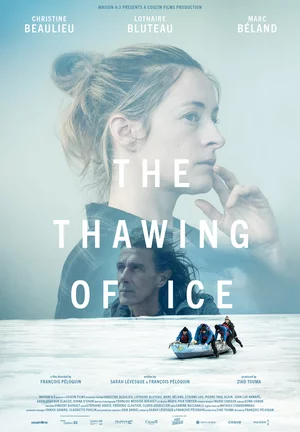Таяние льда Постер